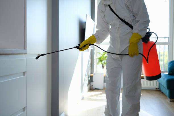 Best Commercial Mold Remediation in Jackson, SC